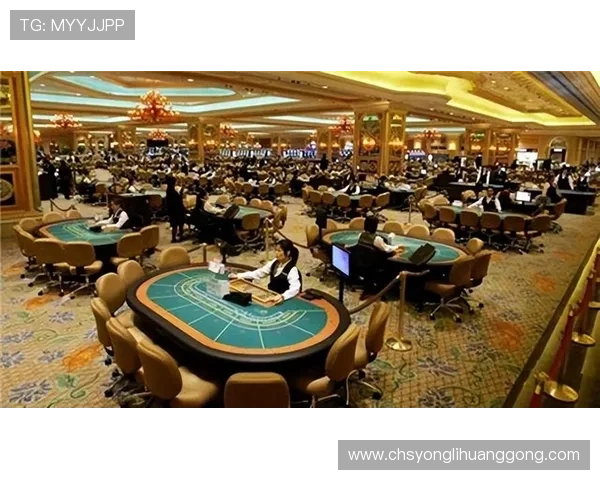 澳门各大赌场攻略指南，详细解析各大赌场的游戏项目与优惠活动